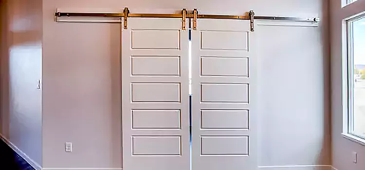 Glass Barn Door with Installation Hardware Kit Corcoran